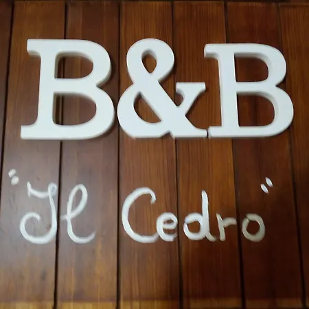 B&B Il Cedro-2
