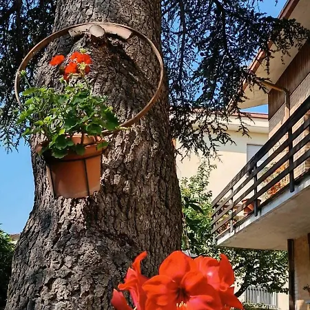 B&B Il Cedro-3